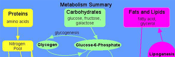 Fosfate En Mikro Minerale