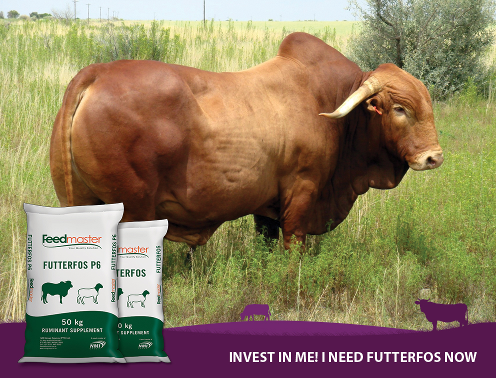 Futterfos or Rock Salt  -  the easy choice!