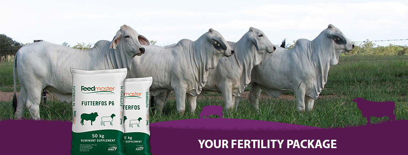 Phosphate Supplementation In The Green Season