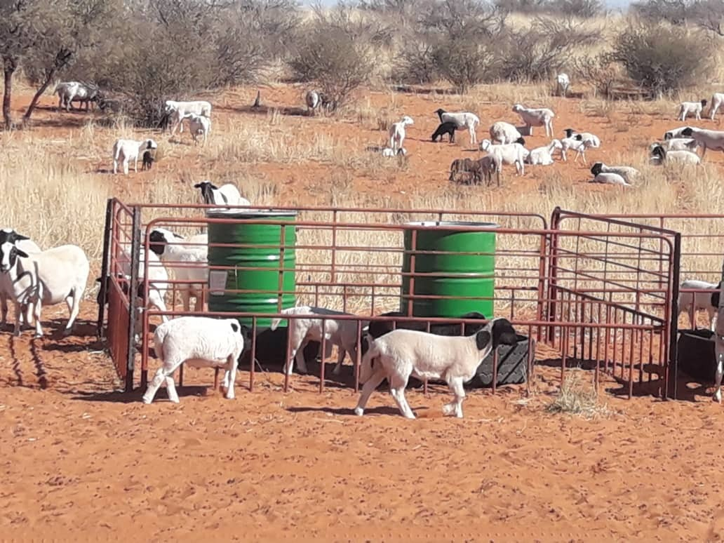 “We have always done it that way.”