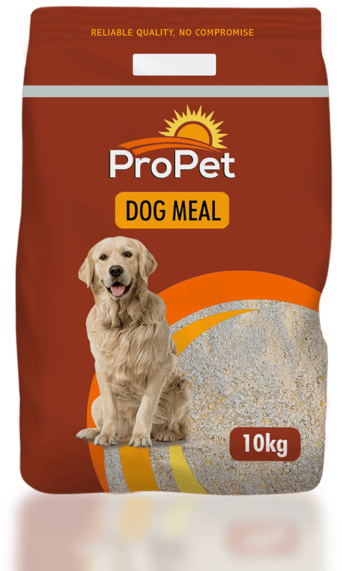 Dog Meal™