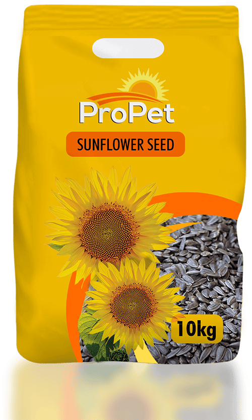 Sunflower Seed™