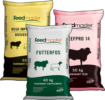 for Cattle Feeds