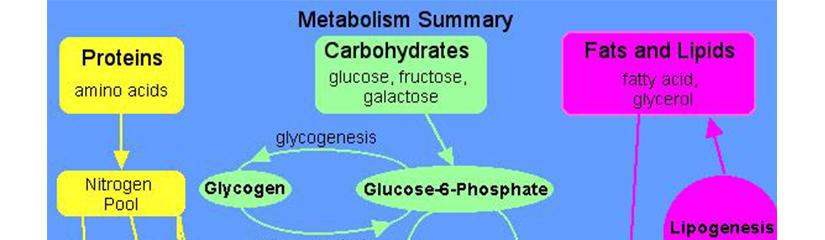 Fosfate En Mikro Minerale