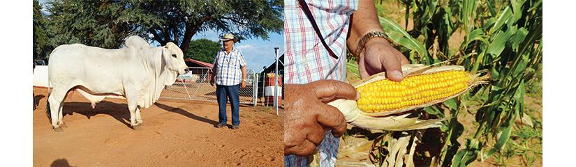 Onder Begin Is Goed Begin