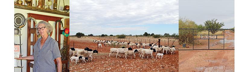 Vroualleen Woeker Met Kwaliteit Dorpers