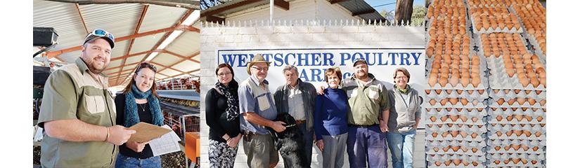 Wentscher Poultry Farm