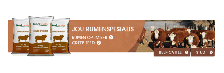 Voer Veiliger Deur Vroegtydig Te Begin