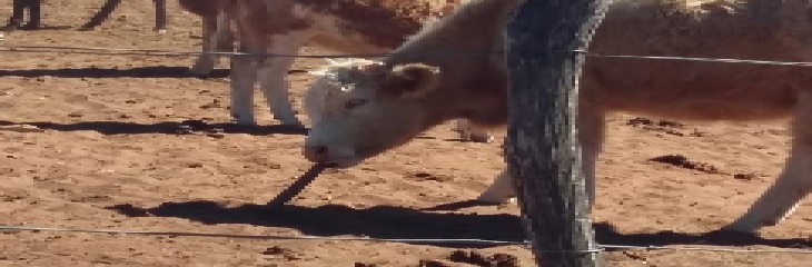 “Change” Is Not A Switch-On Action