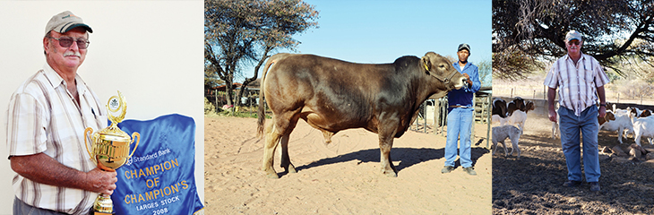 So Bewaar En Boer Junior Versveld