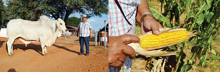 Onder Begin Is Goed Begin