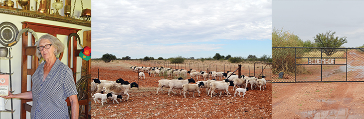 Vroualleen Woeker Met Kwaliteit Dorpers