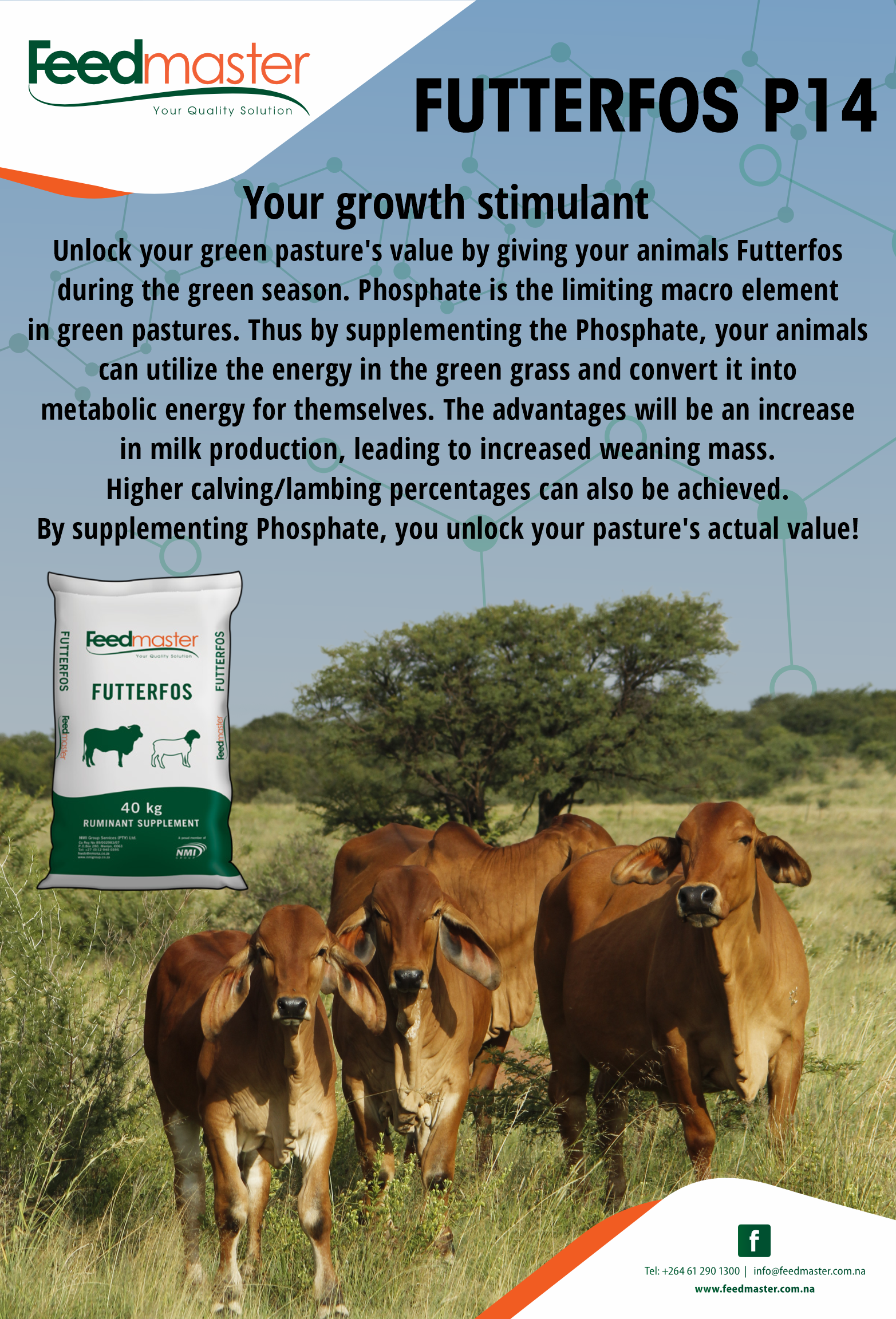 A Profitable Positioning Strategy