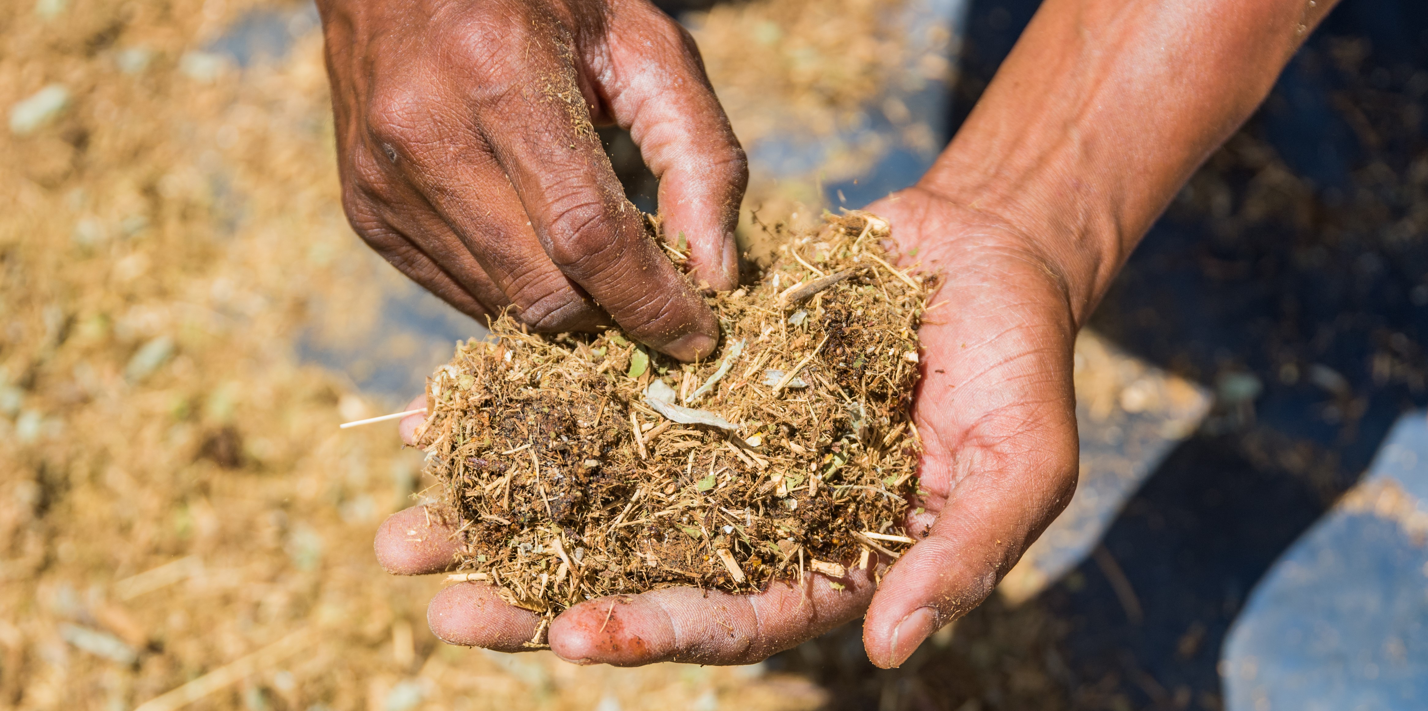 Linking bush feed to drought survival strategies