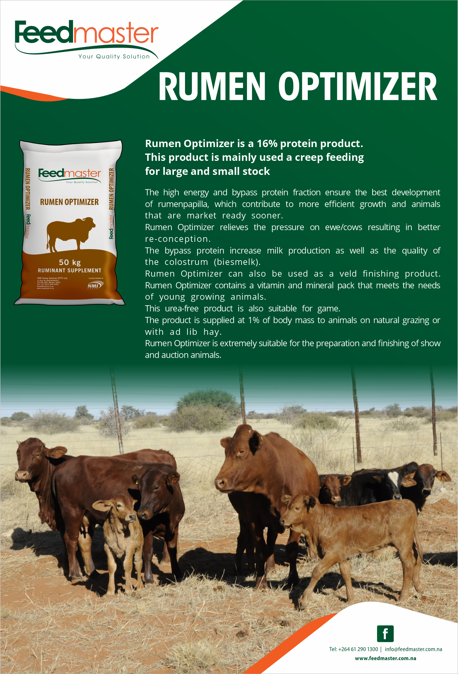 Raising Calves Successfully | Feedmaster - Your Quality Solution