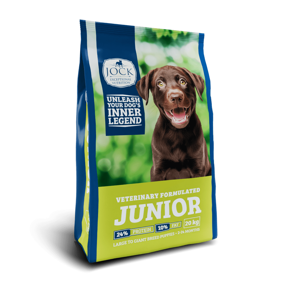 Jock - Junior